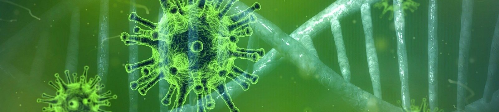 Coronavirus